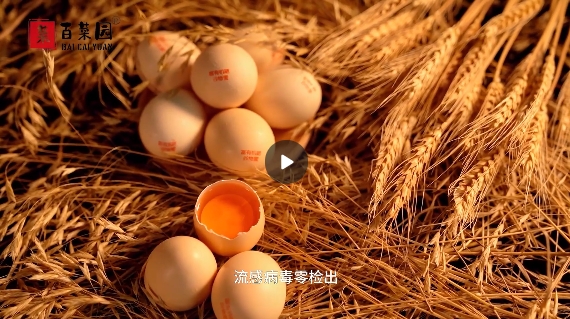 &#108;&#101;&#121;&#117;&#20048;&#40060;